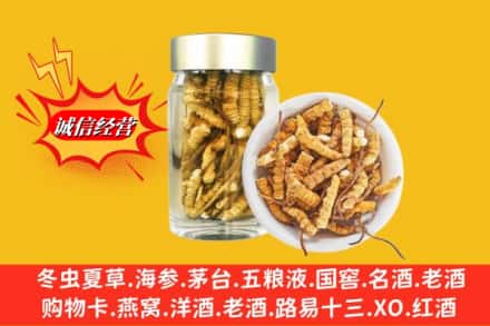 信阳市回收散虫草