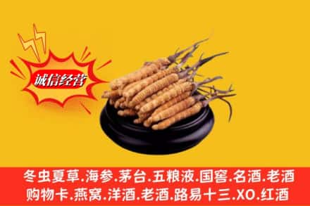信阳市高价上门回收虫草多少钱每克